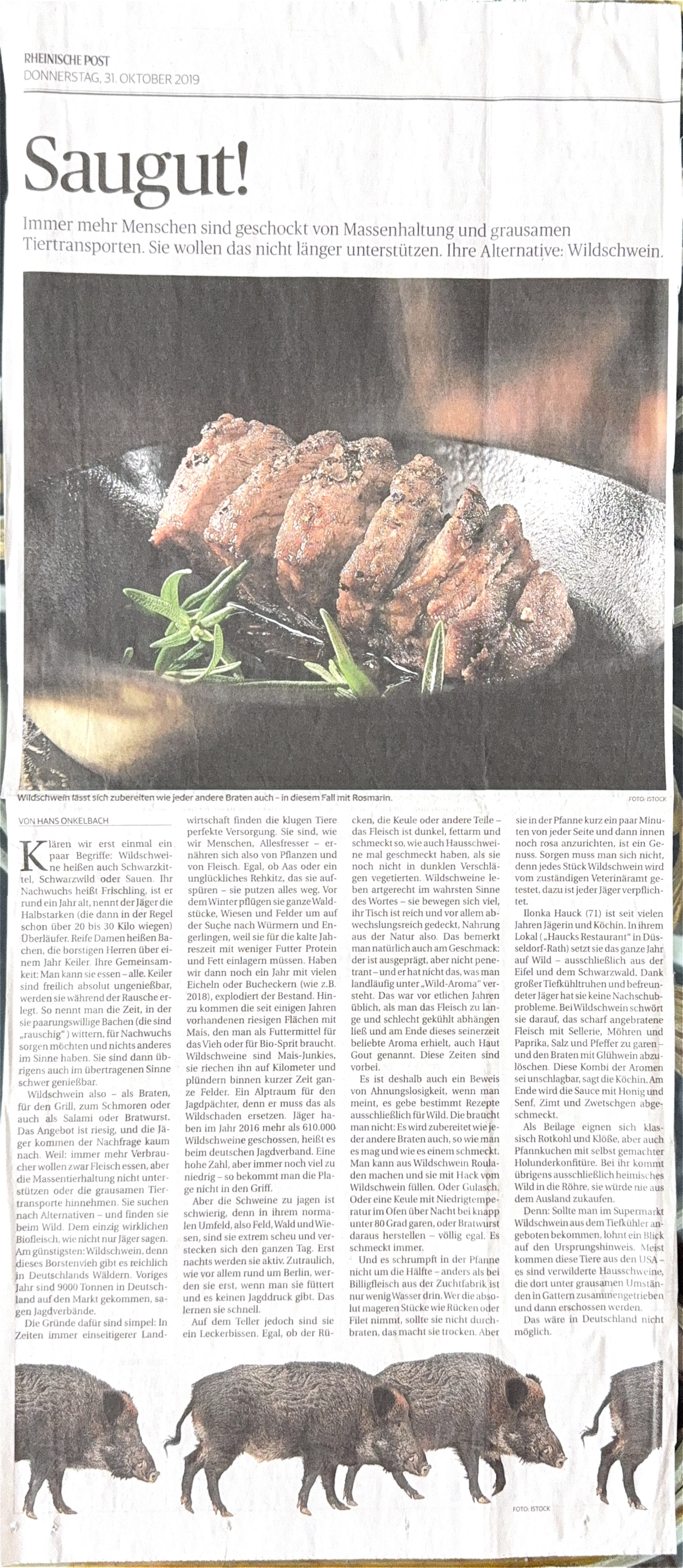 Zeitungsartikel über Ilonka Hauck - Saugut!